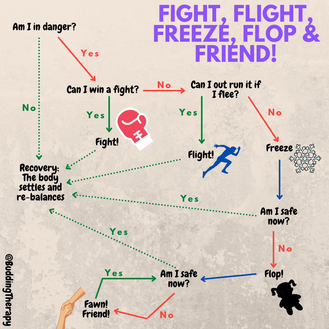 Flow chart - "Am I in danger?", Yes, "Can I win a fight?" Yes directs to "Fight" and a boxing glove and then to the speech bubble which says "Recovery: The body settles and re-balances". No directs to "Can I out run it if I flee?" Yes heads to a running person and the word "Flight" and then to "Recovery". No leads to "Freeze" and a snowflake, then "Am I safe now?" yes leads to "Recovery", no leads to "Flop" and the image of a ragdoll. "Am I safe now?". Yes leads to "Recovery", No goes to "Fawn! Friend" and image of two hands holding eachother, then on to "Recovery"