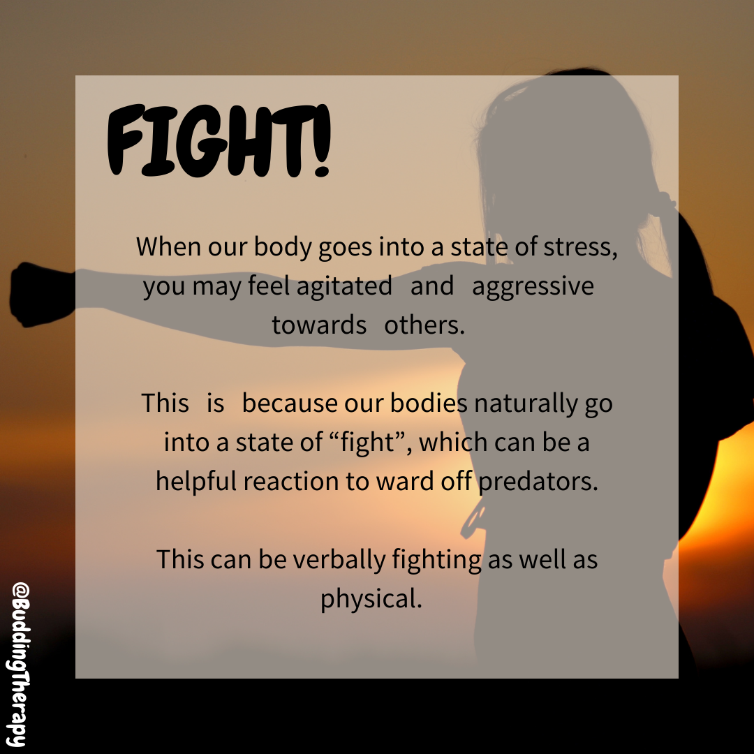 Fight
When our body goes into a state of stress, you may feel agitated and aggressive towards others.
This is because our bodies naturally go into a state of fight, which can be a helpful reaction to ward off predators.
This can be verbally fighting as well as physical.