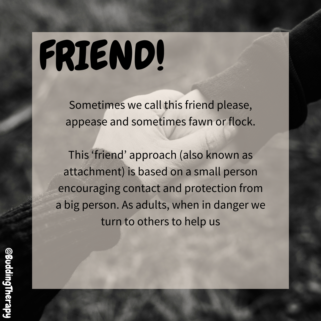 Friend
Sometimes we call this friend please, appease and sometimes fawn or flock.
This ‘friend’ approach (also known as attachment) is based on a small person encouraging contact and protection from a big person. As adults, when in danger we turn to others to help us